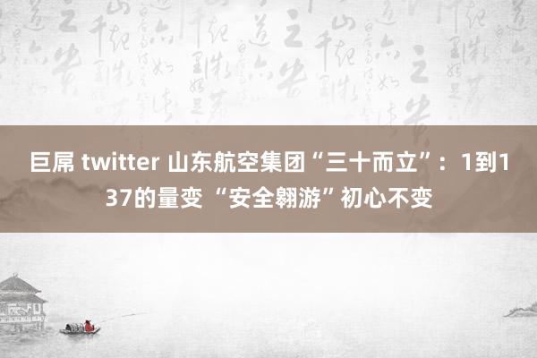 巨屌 twitter 山东航空集团“三十而立”：1到137的量变 “安全翱游”初心不变