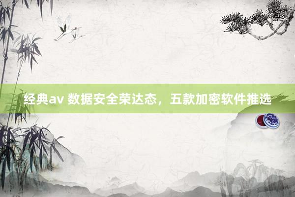 经典av 数据安全荣达态，五款加密软件推选