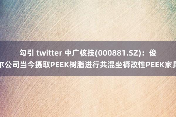 勾引 twitter 中广核技(000881.SZ)：俊尔公司当今摄取PEEK树脂进行共混坐褥改性PEEK家具