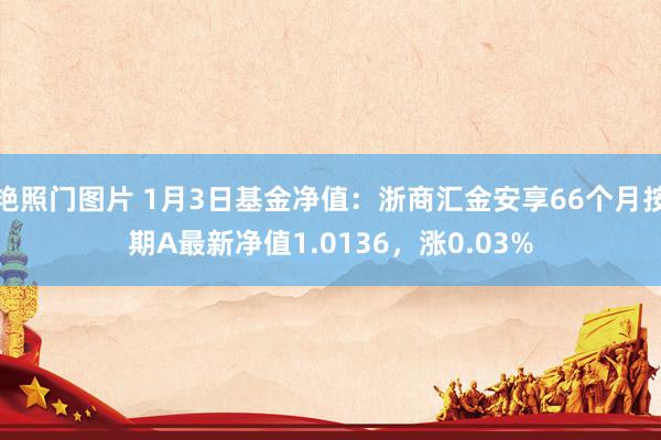 艳照门图片 1月3日基金净值：浙商汇金安享66个月按期A最新净值1.0136，涨0.03%