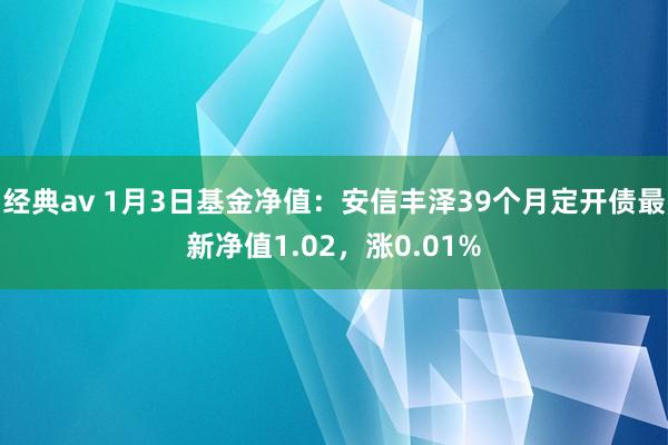 经典av 1月3日基金净值：安信丰泽39个月定开债最新净值1.02，涨0.01%