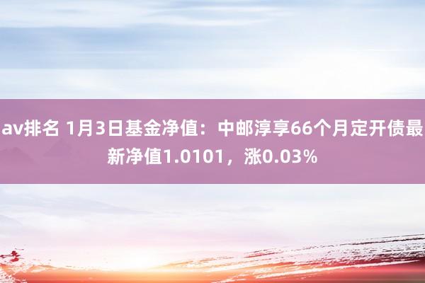 av排名 1月3日基金净值：中邮淳享66个月定开债最新净值1.0101，涨0.03%