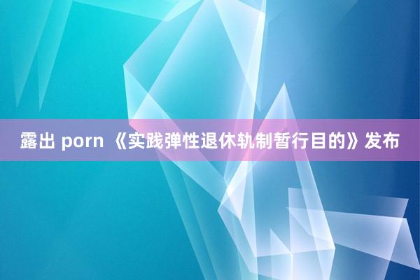 露出 porn 《实践弹性退休轨制暂行目的》发布