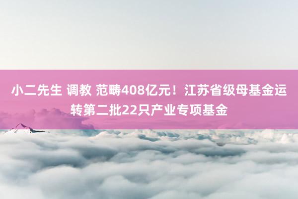 小二先生 调教 范畴408亿元！江苏省级母基金运转第二批22只产业专项基金