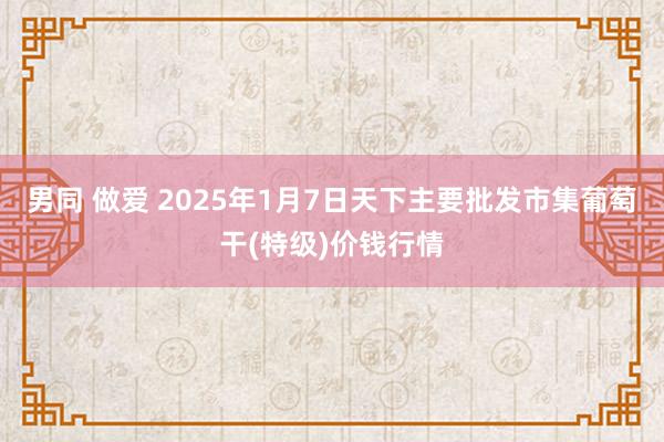 男同 做爱 2025年1月7日天下主要批发市集葡萄干(特级)价钱行情