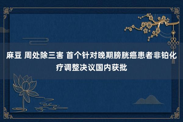 麻豆 周处除三害 首个针对晚期膀胱癌患者非铂化疗调整决议国内获批