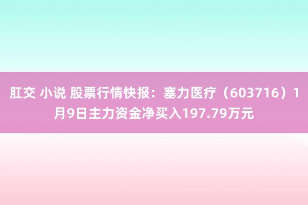 肛交 小说 股票行情快报：塞力医疗（603716）1月9日主力资金净买入197.79万元