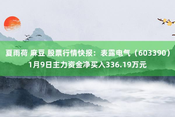 夏雨荷 麻豆 股票行情快报：表露电气（603390）1月9日主力资金净买入336.19万元