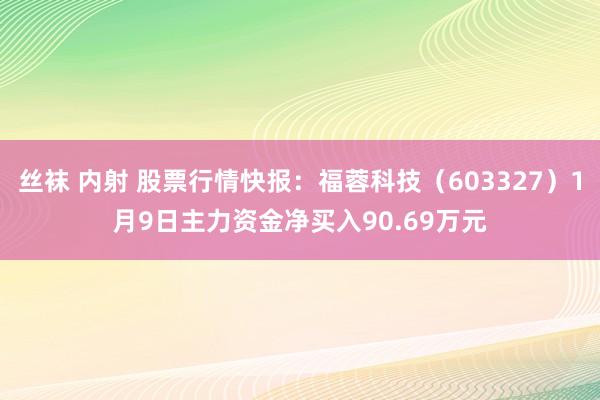 丝袜 内射 股票行情快报：福蓉科技（603327）1月9日主力资金净买入90.69万元