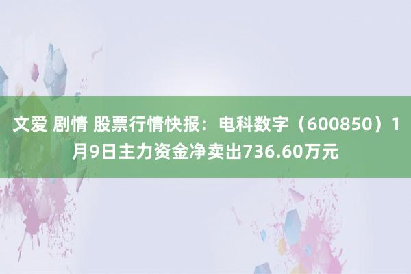 文爱 剧情 股票行情快报：电科数字（600850）1月9日主力资金净卖出736.60万元