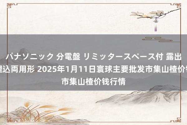 パナソニック 分電盤 リミッタースペース付 露出・半埋込両用形 2025年1月11日寰球主要批发市集山楂价钱行情