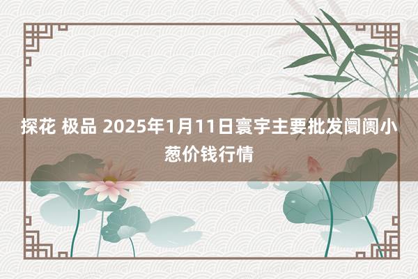 探花 极品 2025年1月11日寰宇主要批发阛阓小葱价钱行情