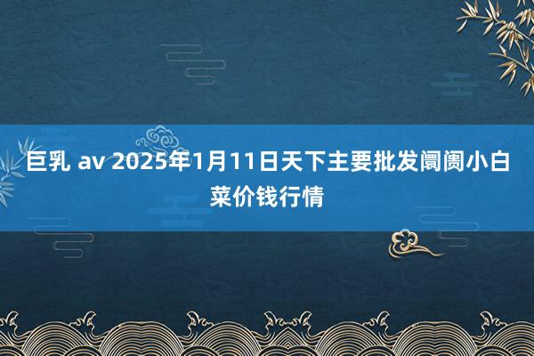 巨乳 av 2025年1月11日天下主要批发阛阓小白菜价钱行情