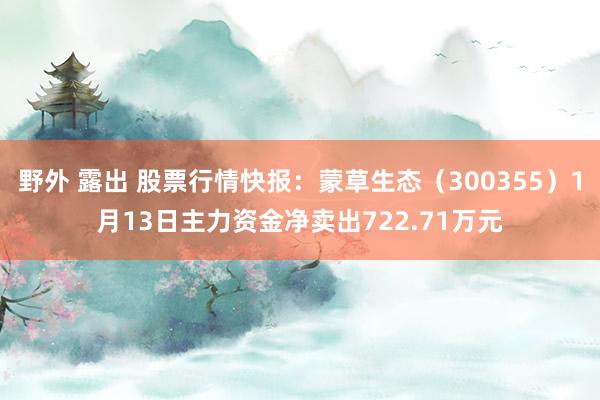 野外 露出 股票行情快报：蒙草生态（300355）1月13日主力资金净卖出722.71万元