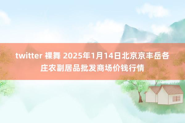 twitter 裸舞 2025年1月14日北京京丰岳各庄农副居品批发商场价钱行情