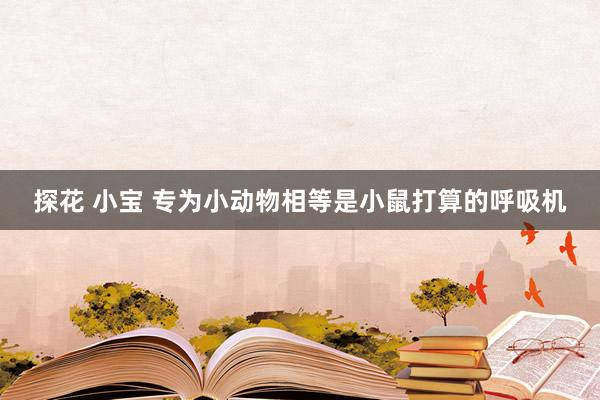 探花 小宝 专为小动物相等是小鼠打算的呼吸机