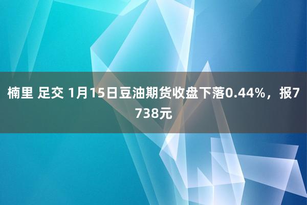 楠里 足交 1月15日豆油期货收盘下落0.44%，报7738元